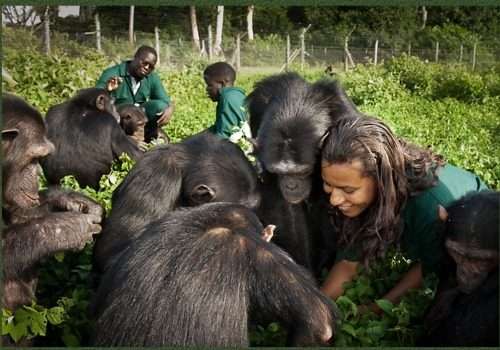 care-giver-in-ngamba-island