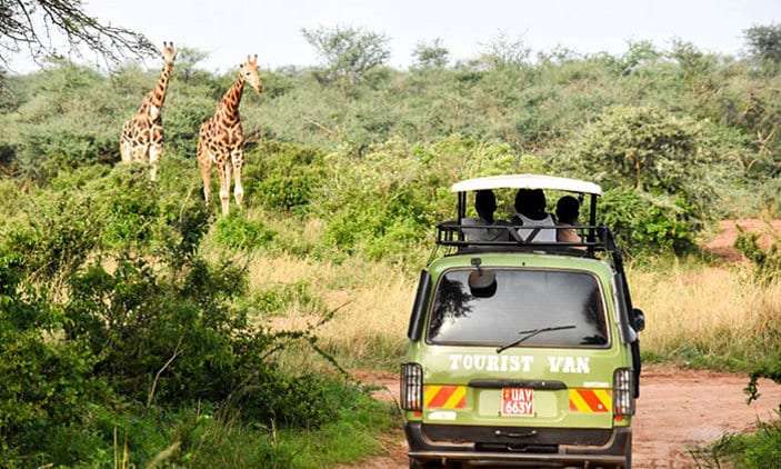 what to pack on african safari!