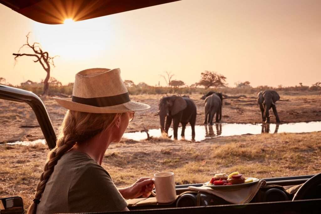 trinity safaris elephant lodge