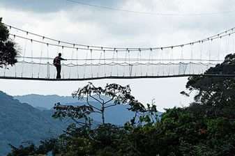 nyungwe