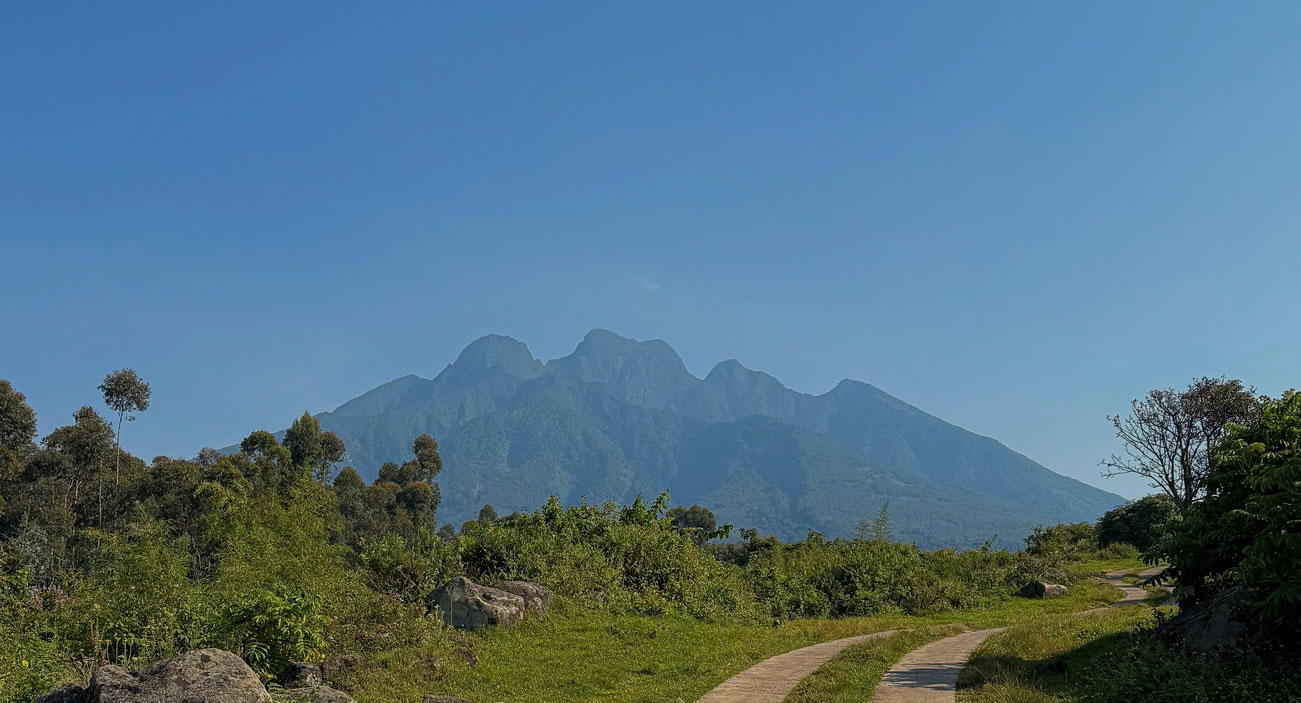 Volcanoes National Park Rwanda